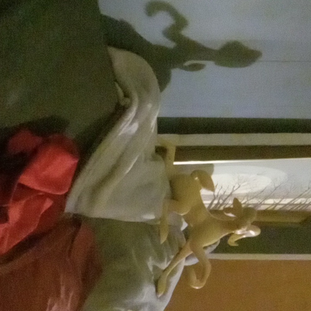 Antique ram wood carving/statue